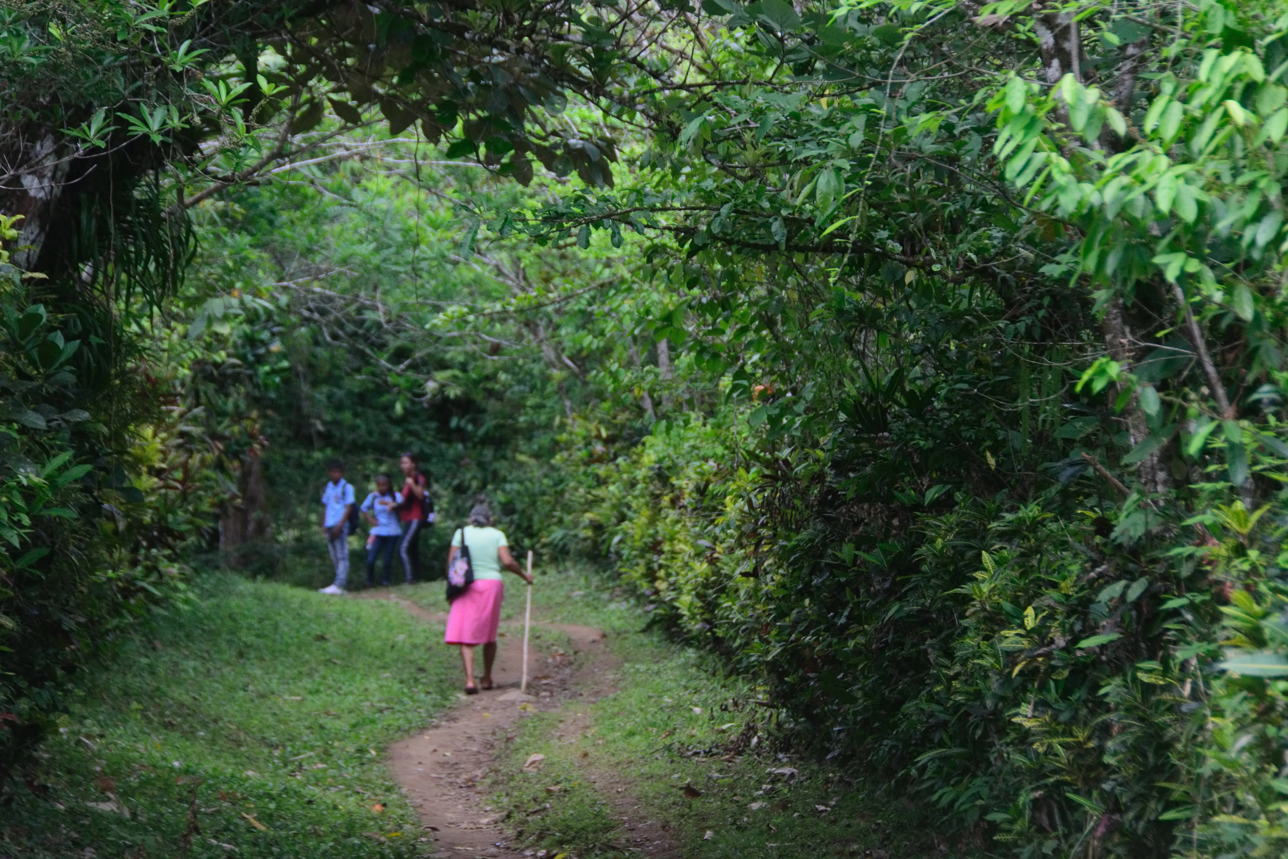 Camino rural de difícil acceso